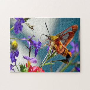 Quebra-cabeça Beija-flor Esfinge Mariposa Borboleta.