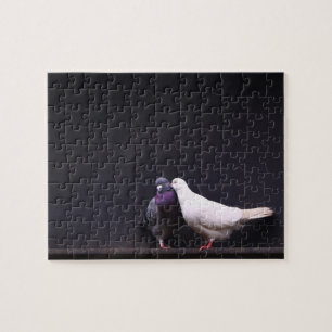 Quebra-cabeça Beijando pássaros do amor