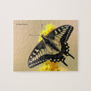Quebra-cabeça Bela Anise Swallowtail Borboleta no Sol
