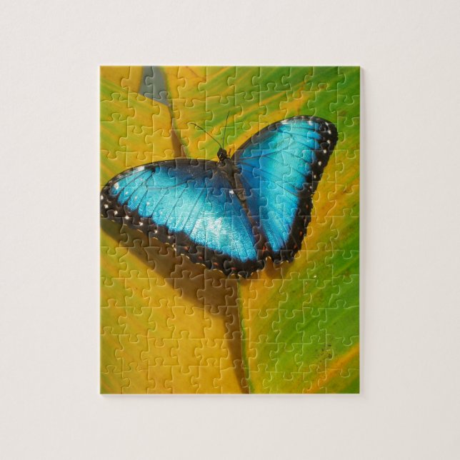 Quebra-cabeça Bela Borboleta Iridescente (Vertical)