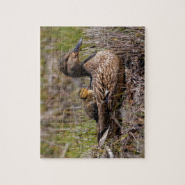 Quebra-cabeça Bela Chillin' Mallard Mãe Duck & Baby Ducking