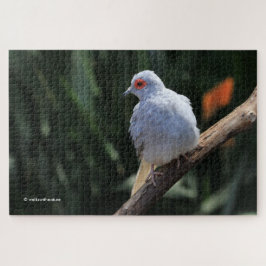 Quebra-cabeça Bela Dove Diamante em Destaque