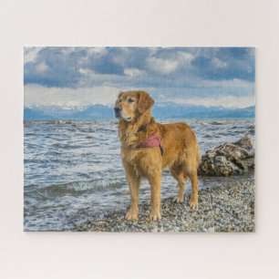 Quebra-cabeça Bela Foto de Cachorro Retriever Dourado na Praia