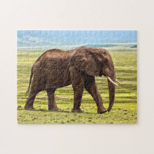 Quebra-cabeça Bela Foto de Elefante Grande