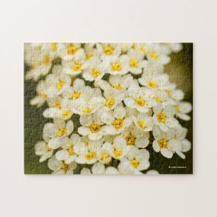 Quebra-cabeça Bela Grinalda Nupcial Spiraea