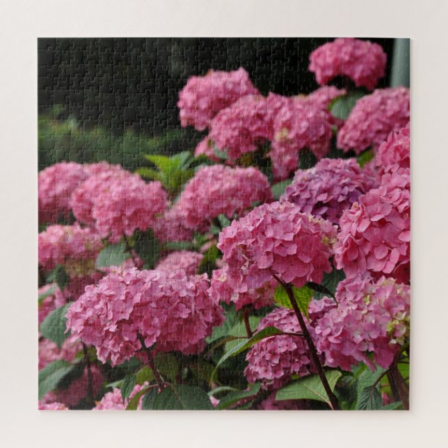 Quebra-cabeça Belas flores de hortênsia rosa (Vertical)