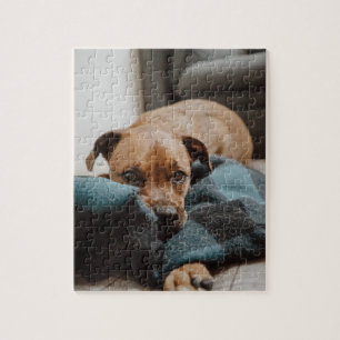 Quebra-cabeça Belga Malinois Boxer Puppia em Blanket Photo