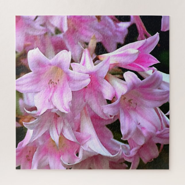 Quebra-cabeça Belladonna Amaryllis Lilies, Cor-de-Rosa (Vertical)