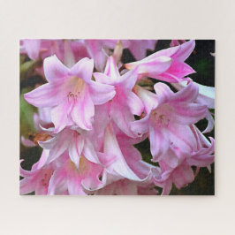 Quebra-cabeça Belladonna Amaryllis Lilies, Cor-de-Rosa