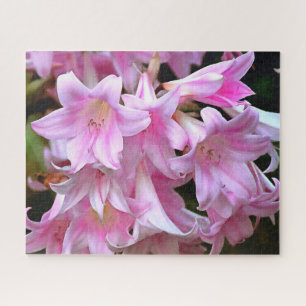 Quebra-cabeça Belladonna Amaryllis Lilies, Rosa,