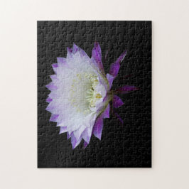 Quebra-cabeça Belle of the Ball Night Bloomer