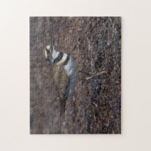 Belo assassino na praia