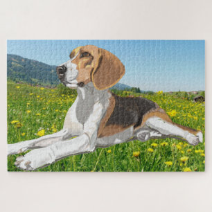 Quebra-cabeça Belo Beagle deitado num campo de flores