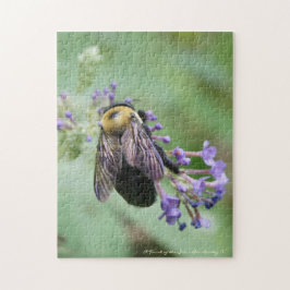 Quebra-cabeça Belo Bee!