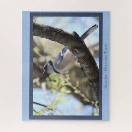 Quebra-cabeça Belo Blue Jay; Bird Lover's