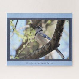 Quebra-cabeça Belo Blue Jay; Bird Lover's