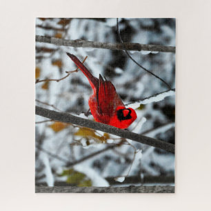Quebra-cabeça Belo Cardeal Vermelho Brilhante na Neve