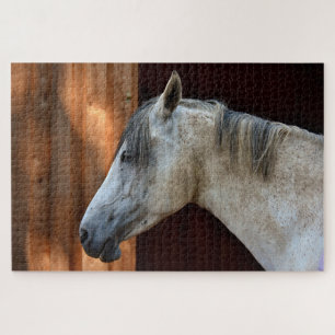 Quebra-cabeça Belo Cavalo Branco