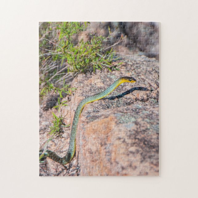 Quebra-cabeça Belo Cobra verde australiano, 252 peças (Vertical)
