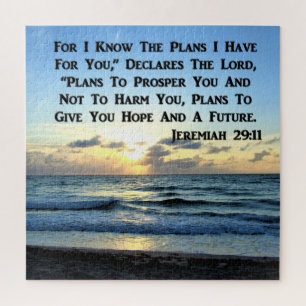 QUEBRA-CABEÇA BELO JEREMIAH 29:11 SKIES AZUIS