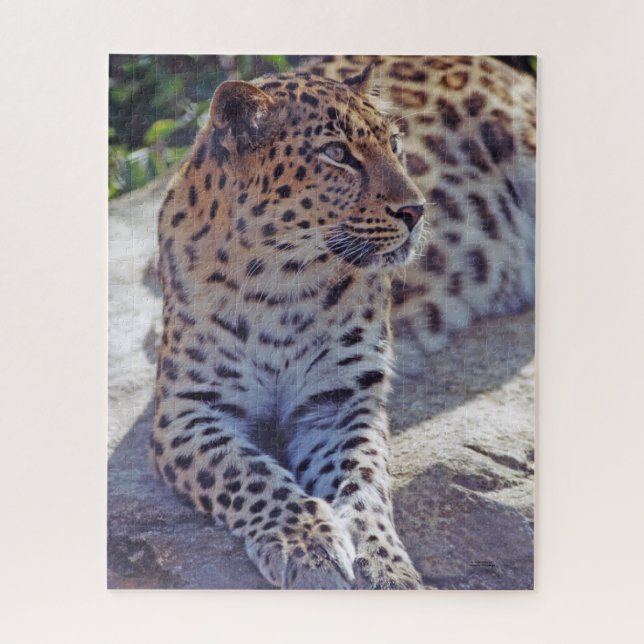 Quebra-cabeça Belo Leopardo - (Vertical)