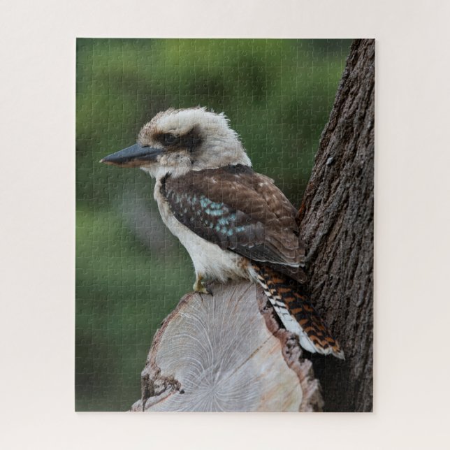 Quebra-cabeça Belo Pássaro Kookaburra Austrália, 520 peças (Vertical)