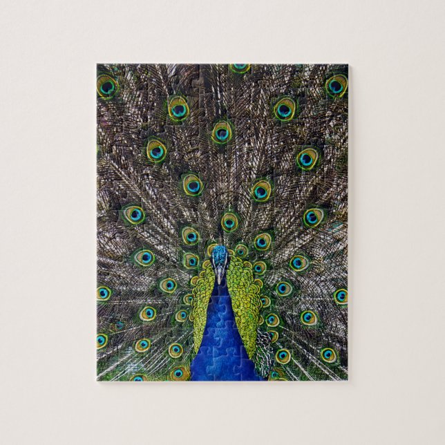 Quebra-cabeça Belo pássaro Pavão (Vertical)