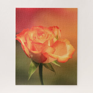 Quebra-cabeça Belo Rosa Romântico Fotografia