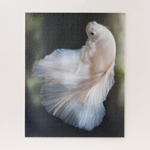 Quebra-cabeça Belo Siamês Branco Betta Lutando Peixes