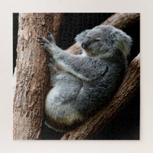Quebra-cabeça Belo Urso Koala em uma árvore