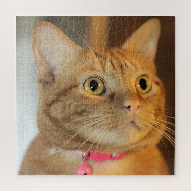 Quebra-cabeça Belos Centavos (Vertical)