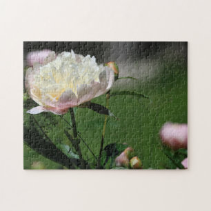 Quebra-cabeça Belos Flores Brancos e Rosa de Península