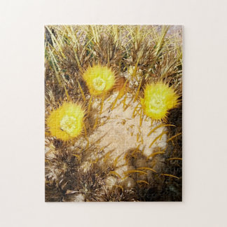 Quebra-cabeça Belos Flores De Cactus