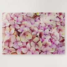 Belos Flores de Hydrangea
