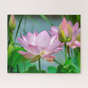 Quebra-cabeça Belos Flores de Lotus Rosa