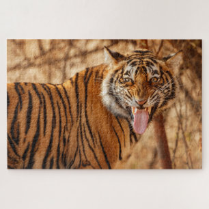 Quebra-cabeça Bengal Tiger