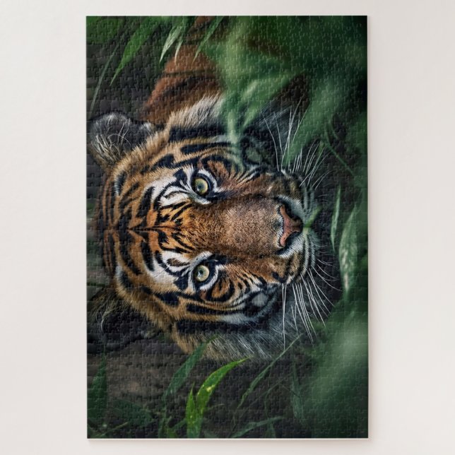 Quebra-cabeça Bengal Tiger (Vertical)