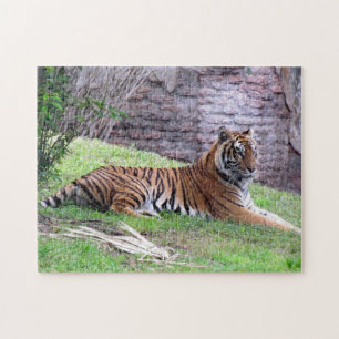 Quebra-cabeça Bengala Tiger