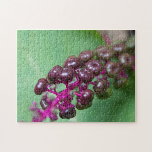 Quebra-cabeça Berries Roxos (Horizontal)