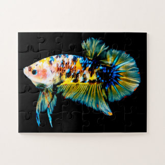 Quebra-cabeça Betta Fish Blue & Dourado