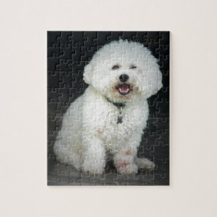 Quebra-cabeça Bichon