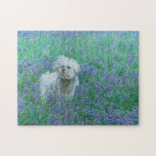 Quebra-cabeça Bichon em Bluebonnets (Horizontal)