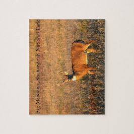 Quebra-cabeça Big Buck, Big Meadows, Shenandoah National Park