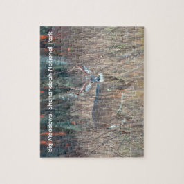 Quebra-cabeça Big Buck, Shenandoah National Park