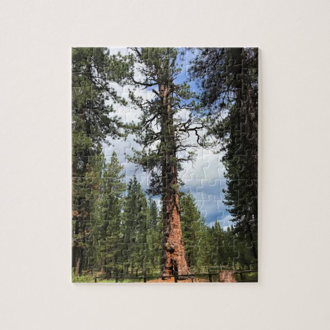Quebra-cabeça Big Red Tree, La Pine, Oregon (Vertical)