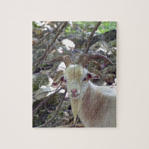 Quebra-cabeça Billy Goat