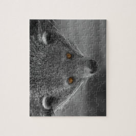 Quebra-cabeça Binturong Olhando Para Você