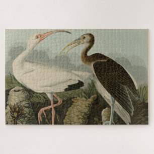 Quebra-cabeça Bis Branco - Pássaros da América de John James Aud