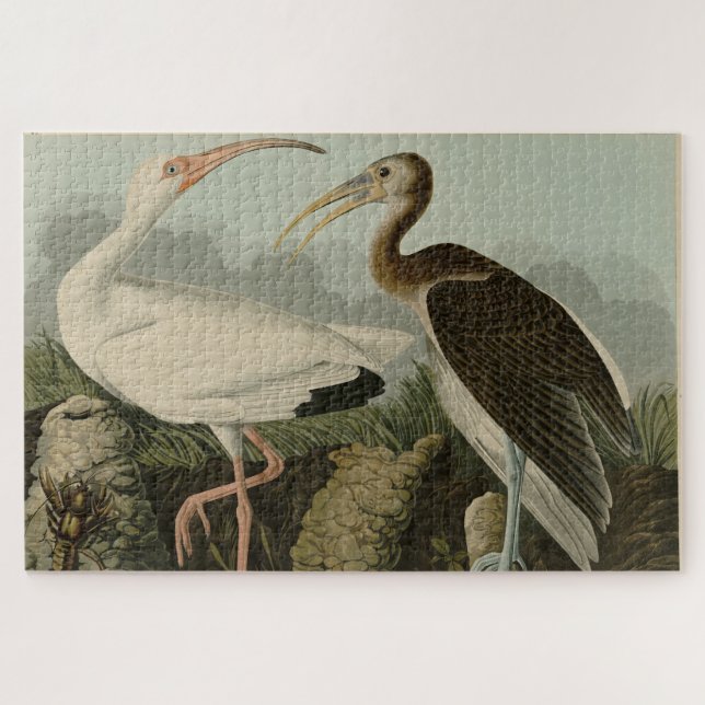 Quebra-cabeça Bis Branco - Pássaros da América de John James Aud (Horizontal)
