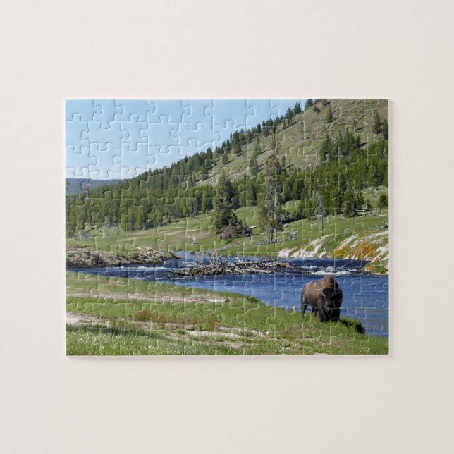 Quebra-cabeça Bisão no Parque Nacional de Yellowstone (Horizontal)